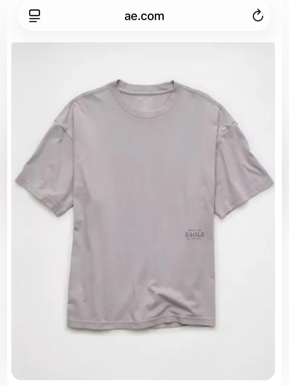 American Eagle Outfitters Men’s Crewneck Tee in Light Gray
